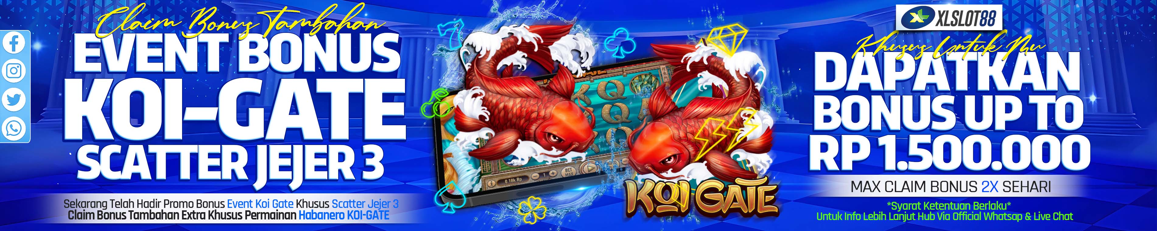 KOI JEJER 3